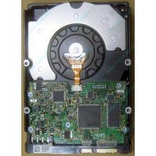 HDD Sun 500G 500Gb в Шоссе Энтузиастов, FRU 540-7889-01 в Шоссе Энтузиастов, BASE 390-0383-04 в Шоссе Энтузиастов, AssyID 0069FMT-1010 в Шоссе Энтузиастов, HUA7250SBSUN500G (Шоссе Энтузиастов)
