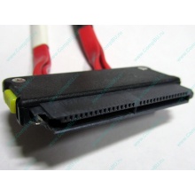 SATA-кабель для корзины HDD HP 451782-001 459190-001 для HP ML310 G5 (Шоссе Энтузиастов)