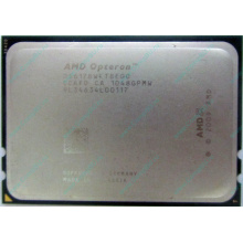 AMD Opteron 6128 OS6128WKT8EGO (Шоссе Энтузиастов)