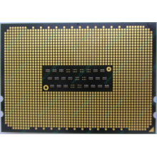 AMD Opteron 6128 OS6128WKT8EGO (Шоссе Энтузиастов)